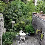 House Of Cats