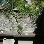 House Of Cats *