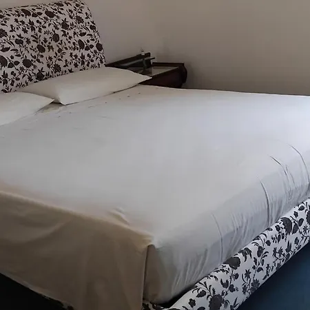 House Of Cats * 多马索