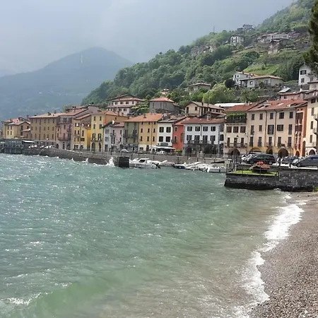 House Of Cats ドマーゾ