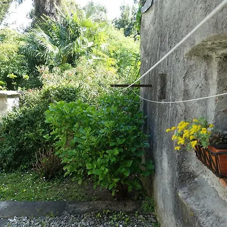 Appartamento House Of Cats Domaso
