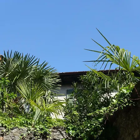 House Of Cats アパート ドマーゾ