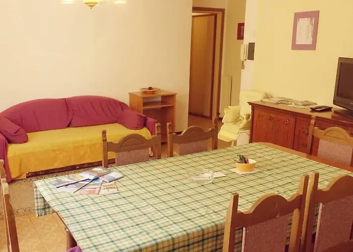 House Of Cats 多马索