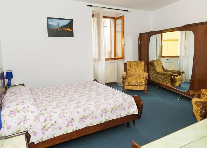 House Of Cats * 多马索