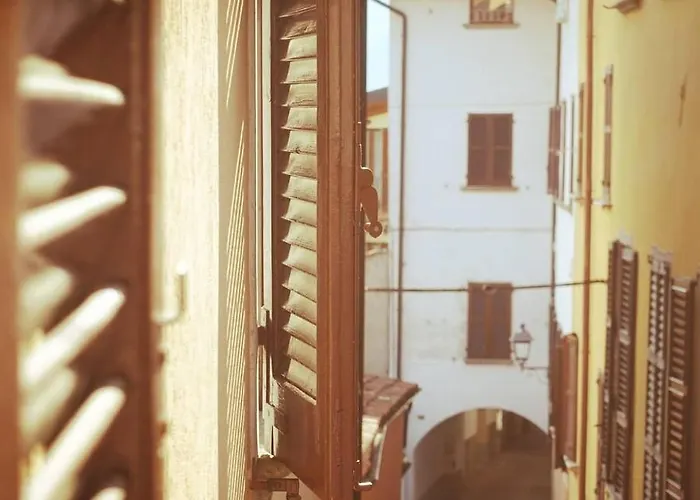 公寓 House Of Cats