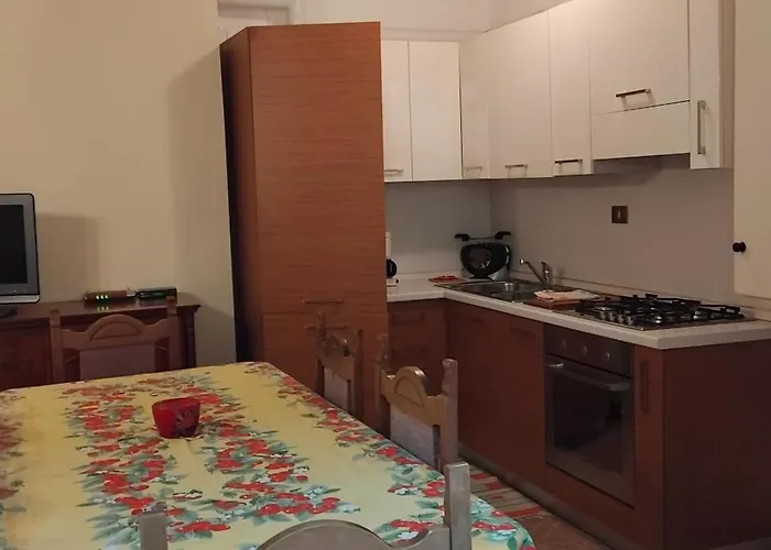 House Of Cats 多马索