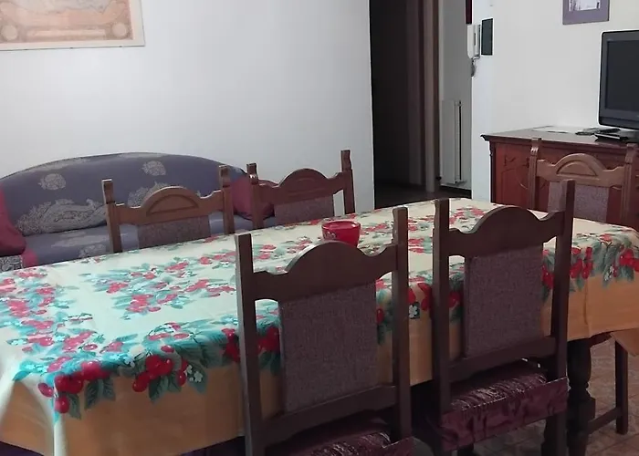 House Of Cats