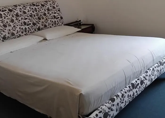 House Of Cats * 多马索