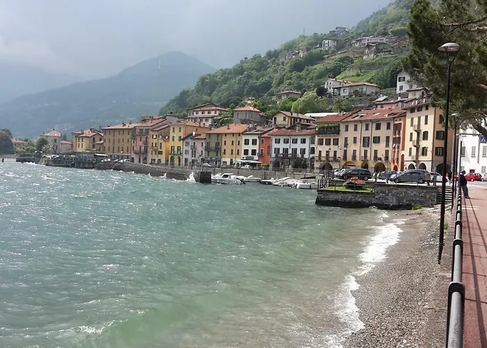 House Of Cats 多马索