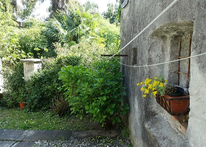 公寓 House Of Cats 多马索