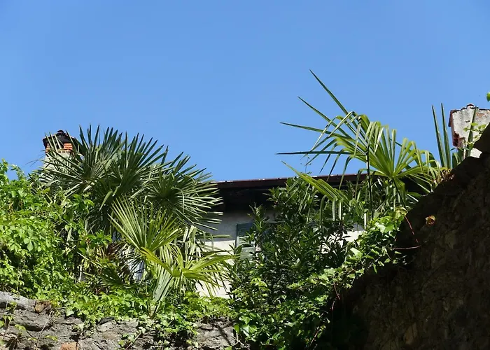 House Of Cats 公寓 多马索