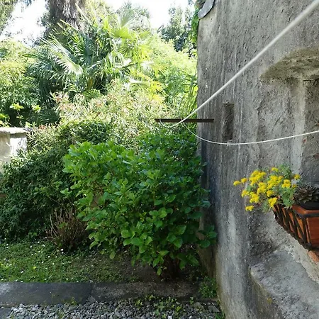 Apartmán House Of Cats Domaso