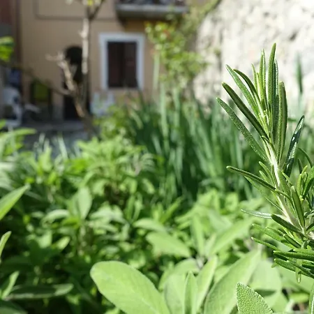 House Of Cats Apartmán *