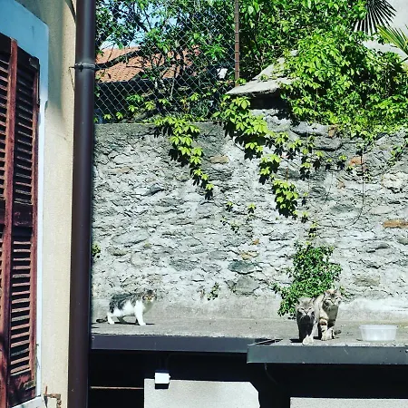 דירה House Of Cats *