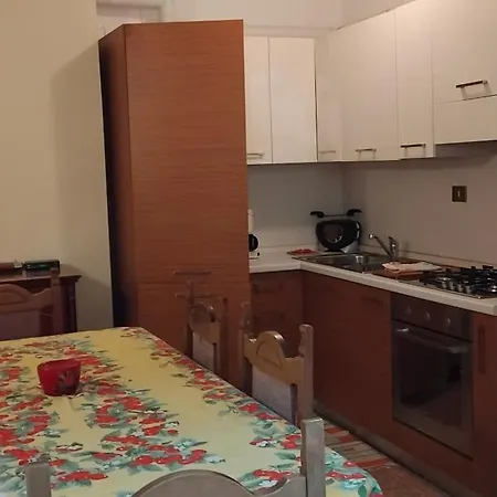 House Of Cats דומאסו